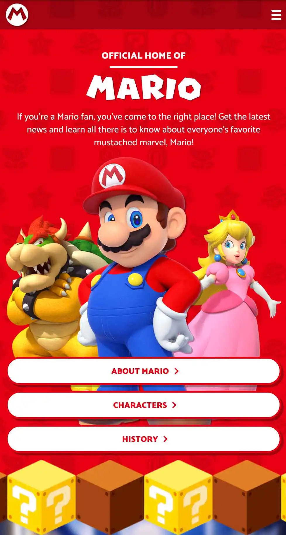 Nintendo Portals